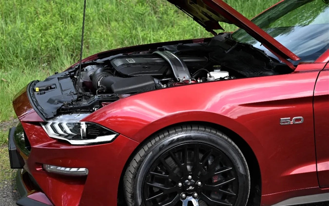 Ford Mustang cena 163221 przebieg: 11000, rok produkcji 2019 z Podkowa Leśna małe 497